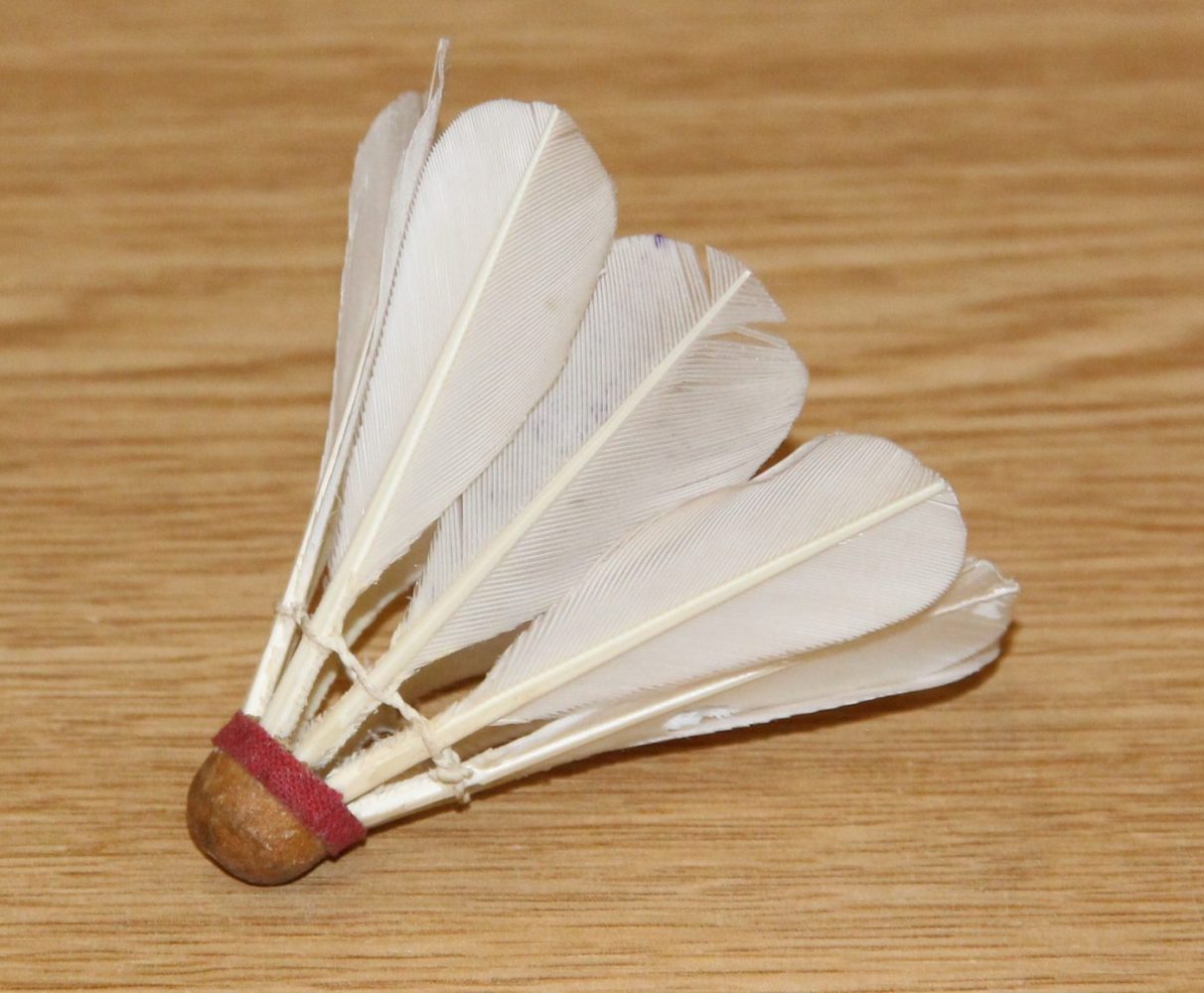 523-National Badminton Museum-Copyright-Geoff Hinder